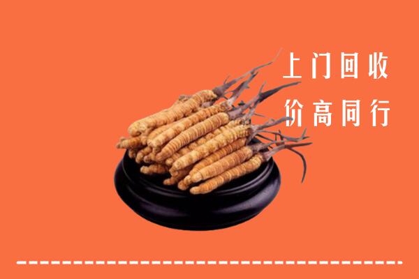 高价求购：南京雨花台回收散虫草