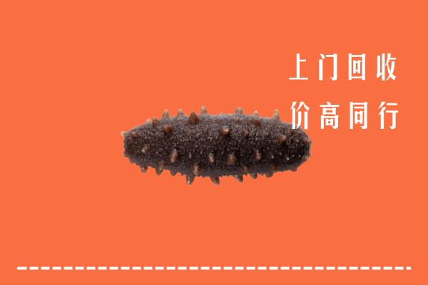 高价求购：南京雨花台回收海参