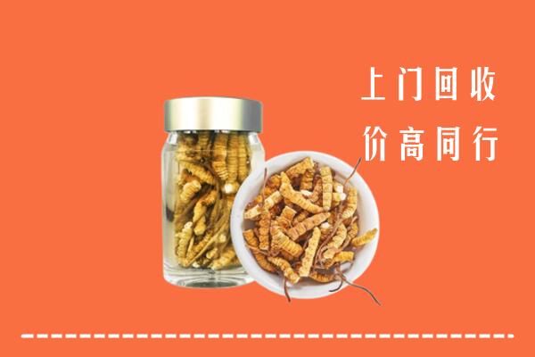 南京雨花台回收冬虫夏草