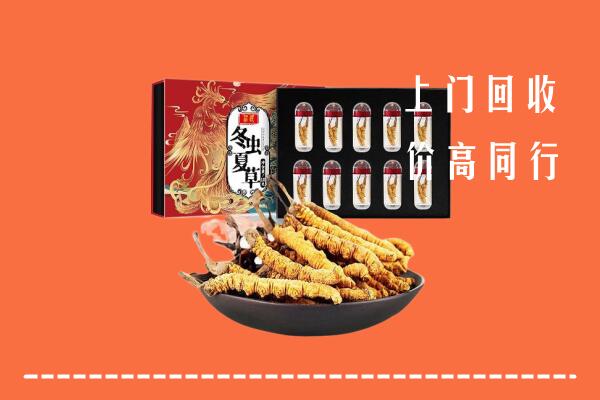 南京雨花台回收虫草